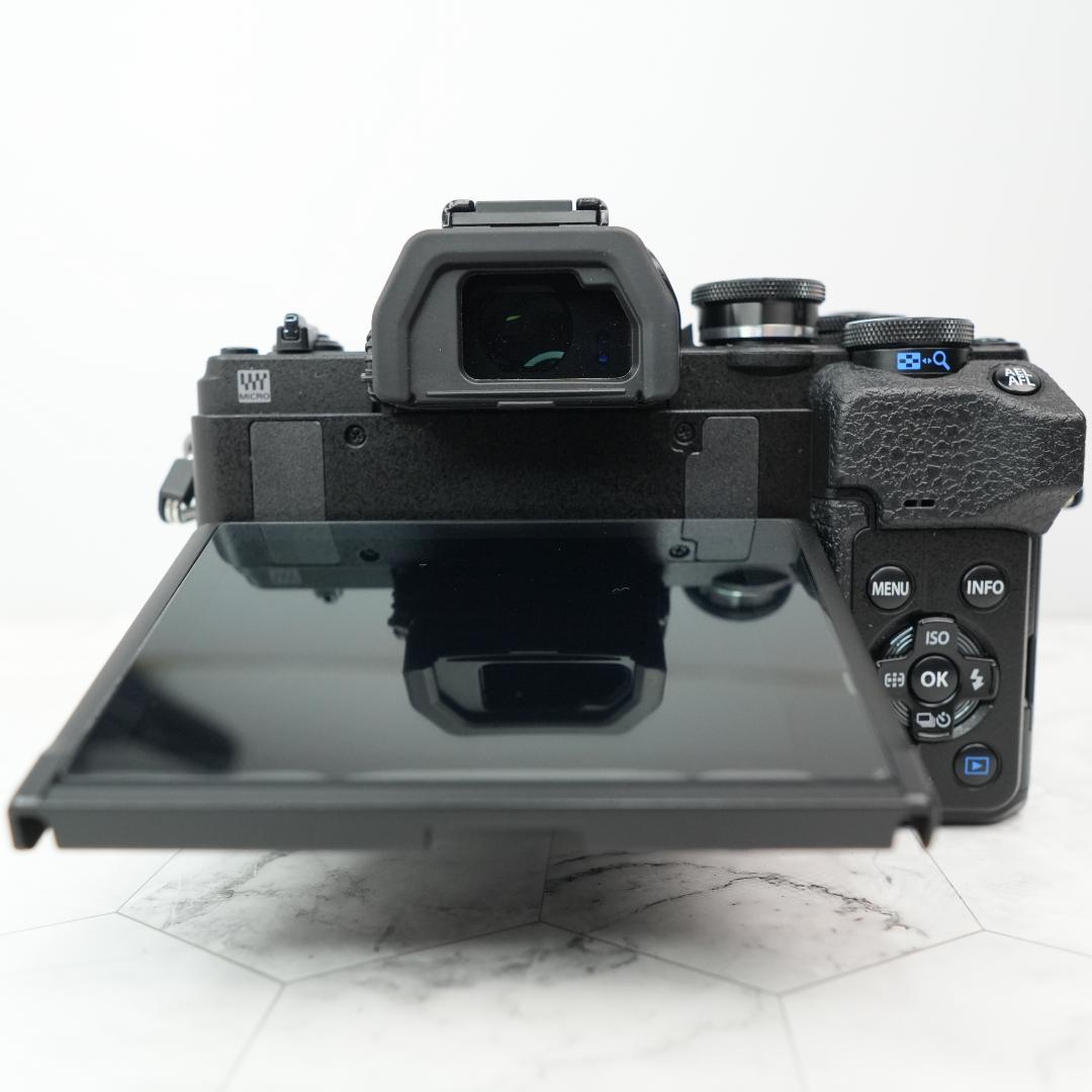 【極美品/ショット数732】OLYMPUS OM-D E-M10 Mark IV