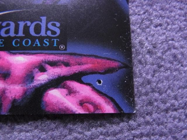 非売品　ポスター　マジック・ザ・ギャザリング　ストロングホールド　MTG　当時物