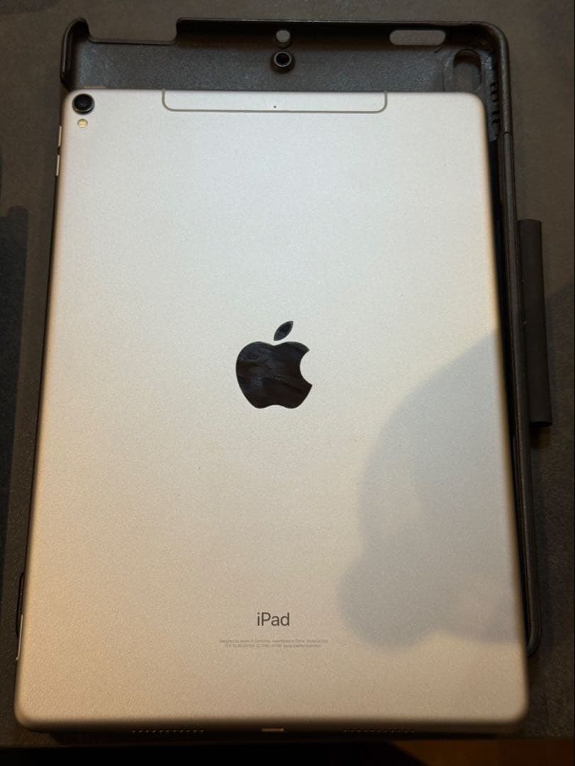 美品・即使用可iPad Pro 256GB WiFi+Cell ペン付 ケース付