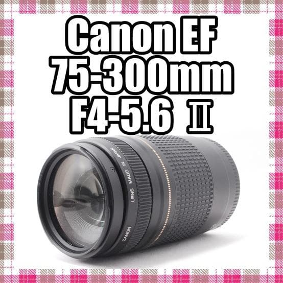 ✨人気の望遠レンズ✨Canon EF 75-300mm F4-5.6 Ⅱ