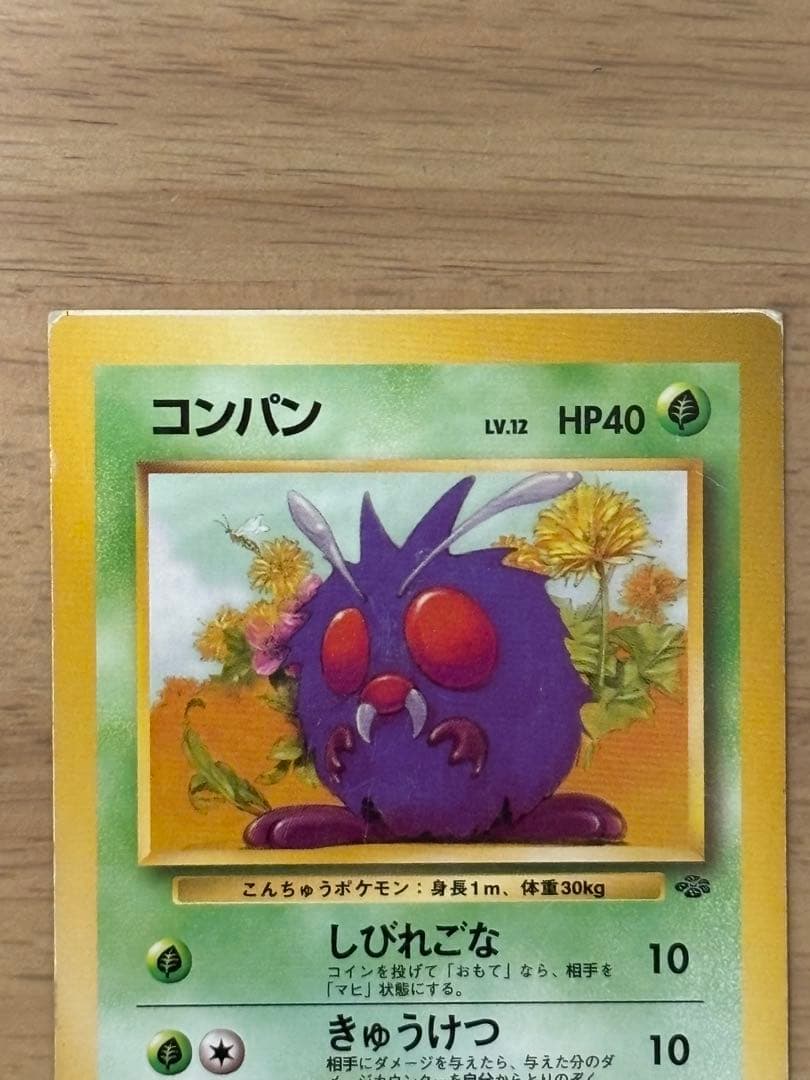 ポケモンカード　旧裏　コンパン　スクエアカット
