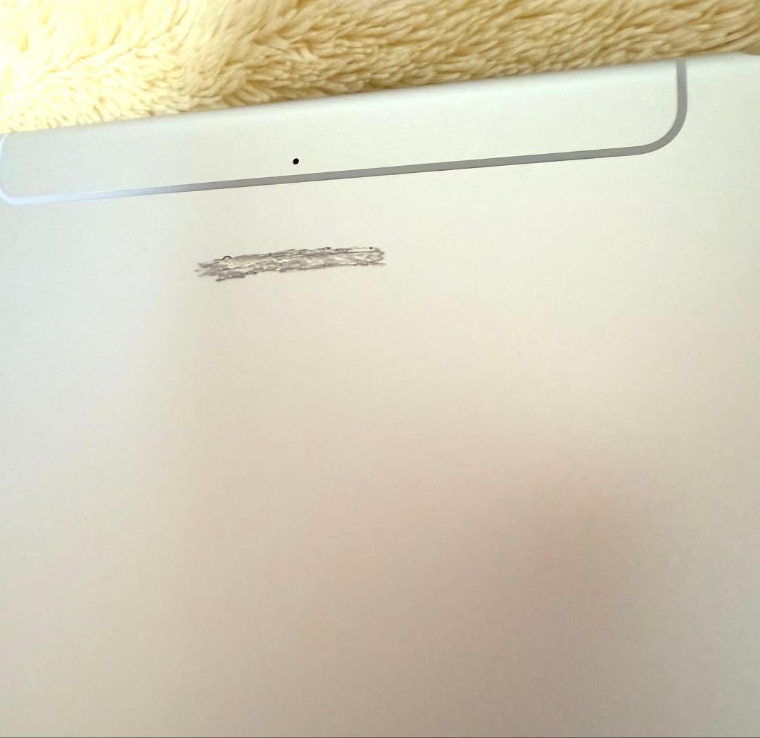 Apple iPad mini第5世代　256GB SIMフリー