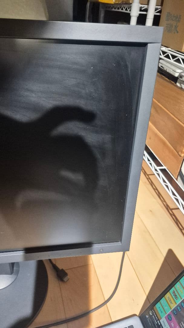 eizo cs2420 モニター