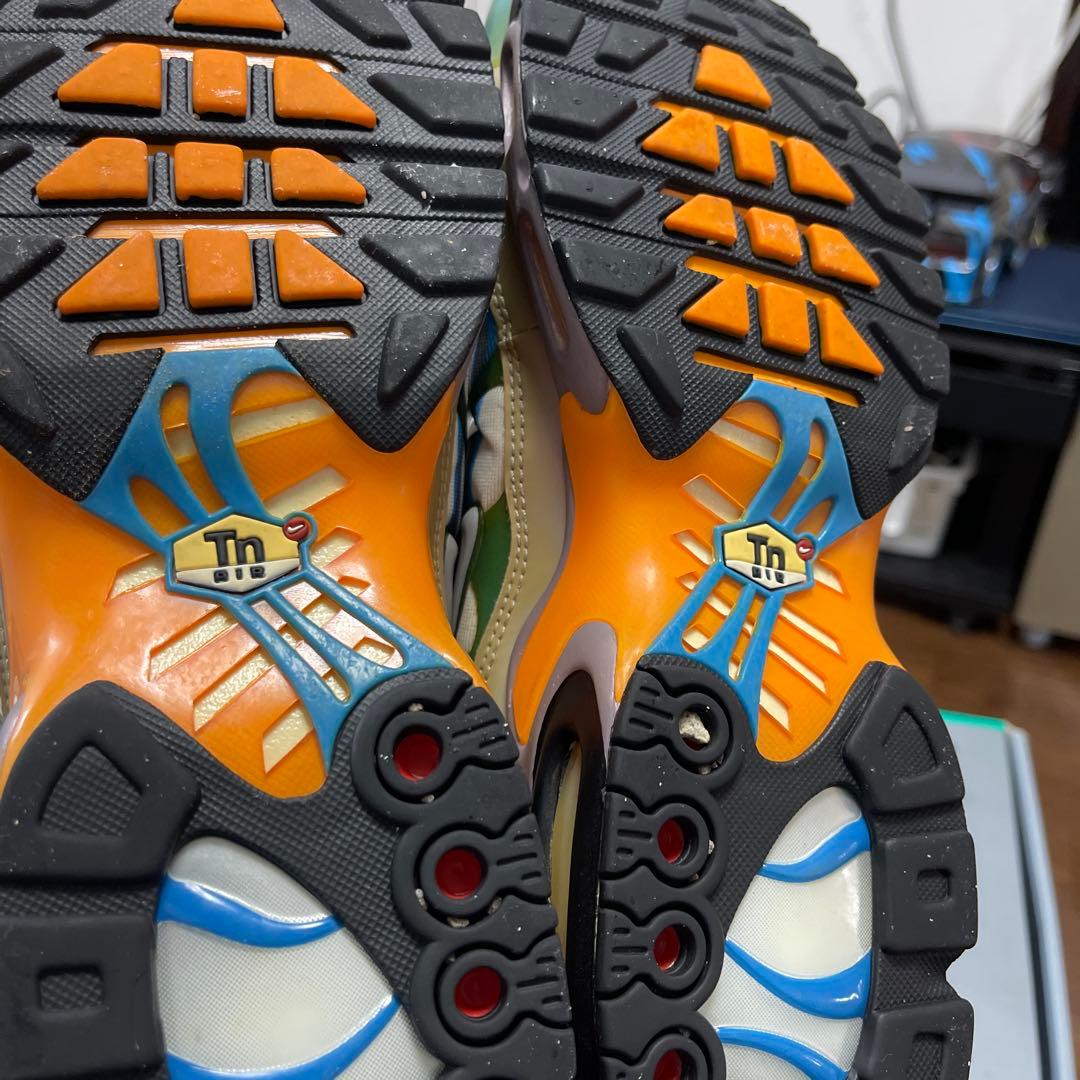 Nike Air Max Plus シューズ