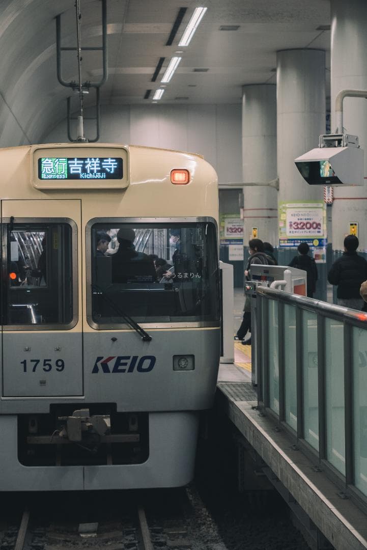 木村文乃使用モデル！Leica Elmarit 90mm F2.8 人物向き！