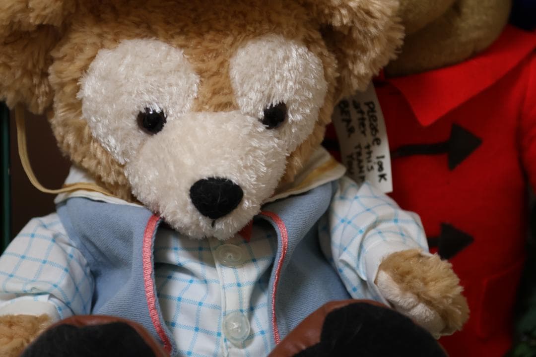 レンズ(ズーム) Canon EF24-105mm F4L IS USM + EW-83H