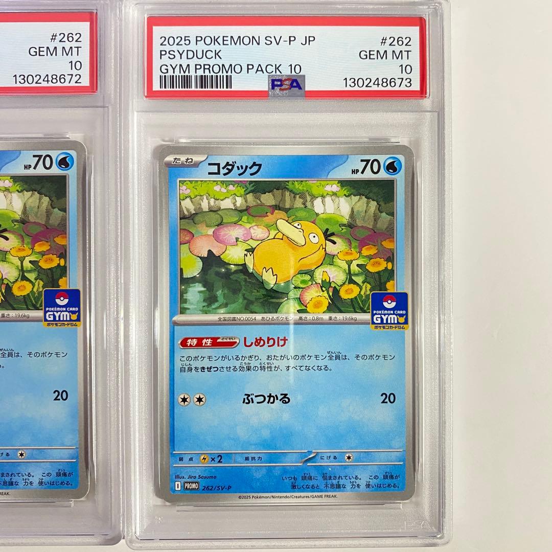 【PSA10】 コダック ジムプロモ しめりけ 262/SV-P 4連番