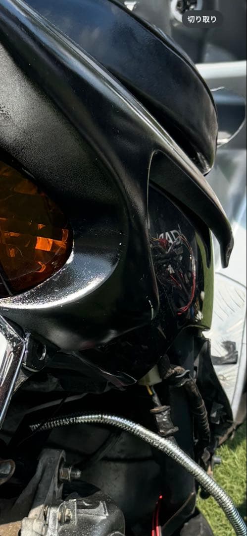 新春セール ライブディオ 羽for M