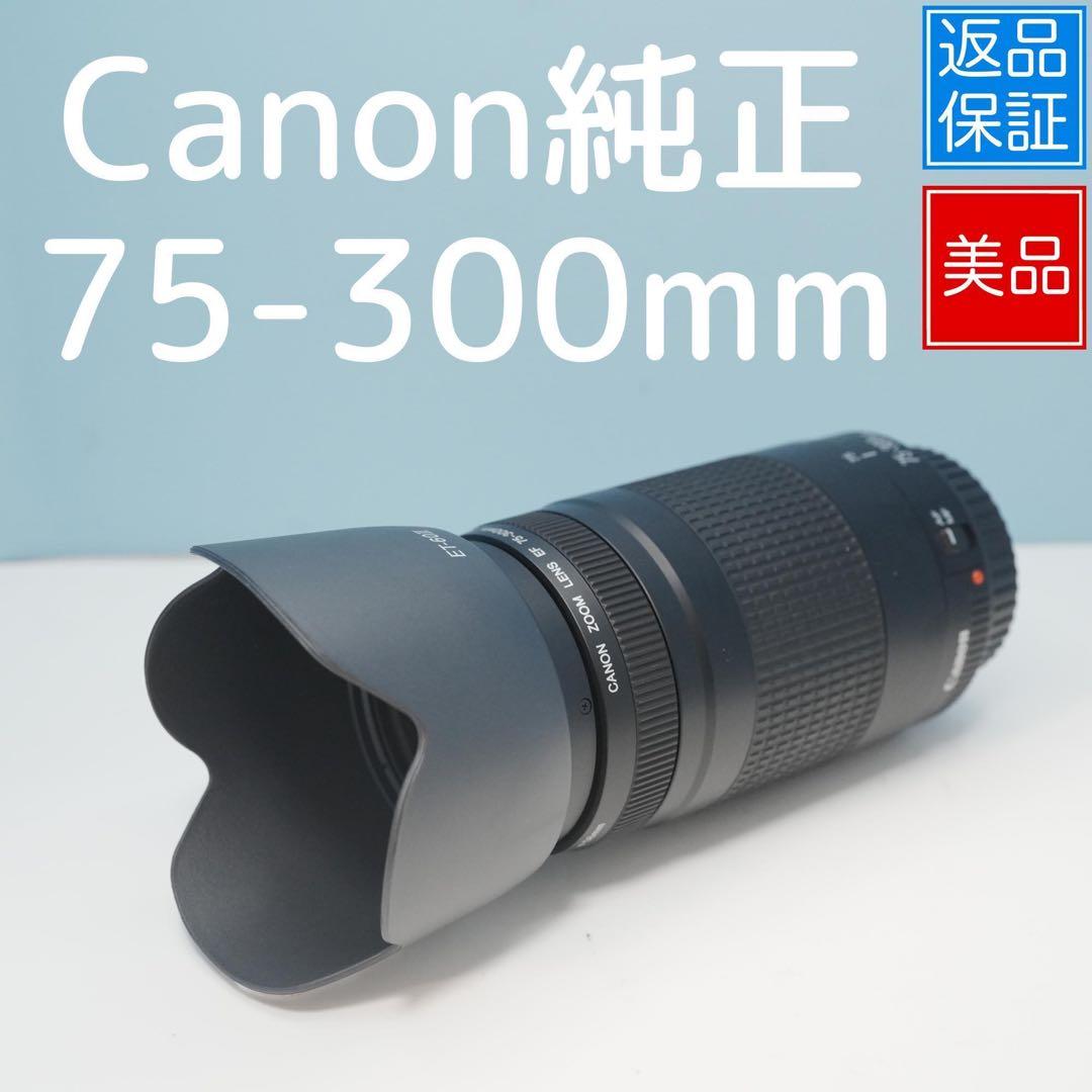 Canon純正 75-300mm 望遠レンズ 美品 a5137