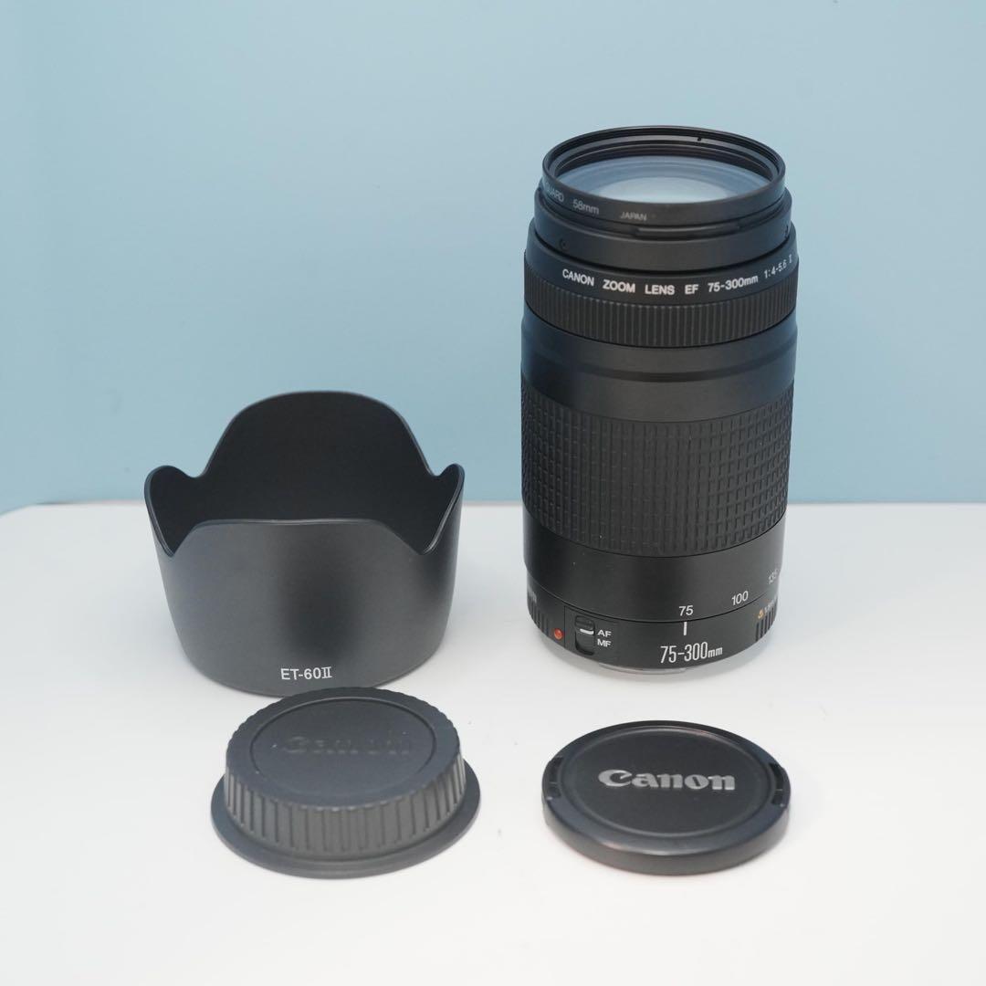 Canon純正 75-300mm 望遠レンズ 美品 a5137