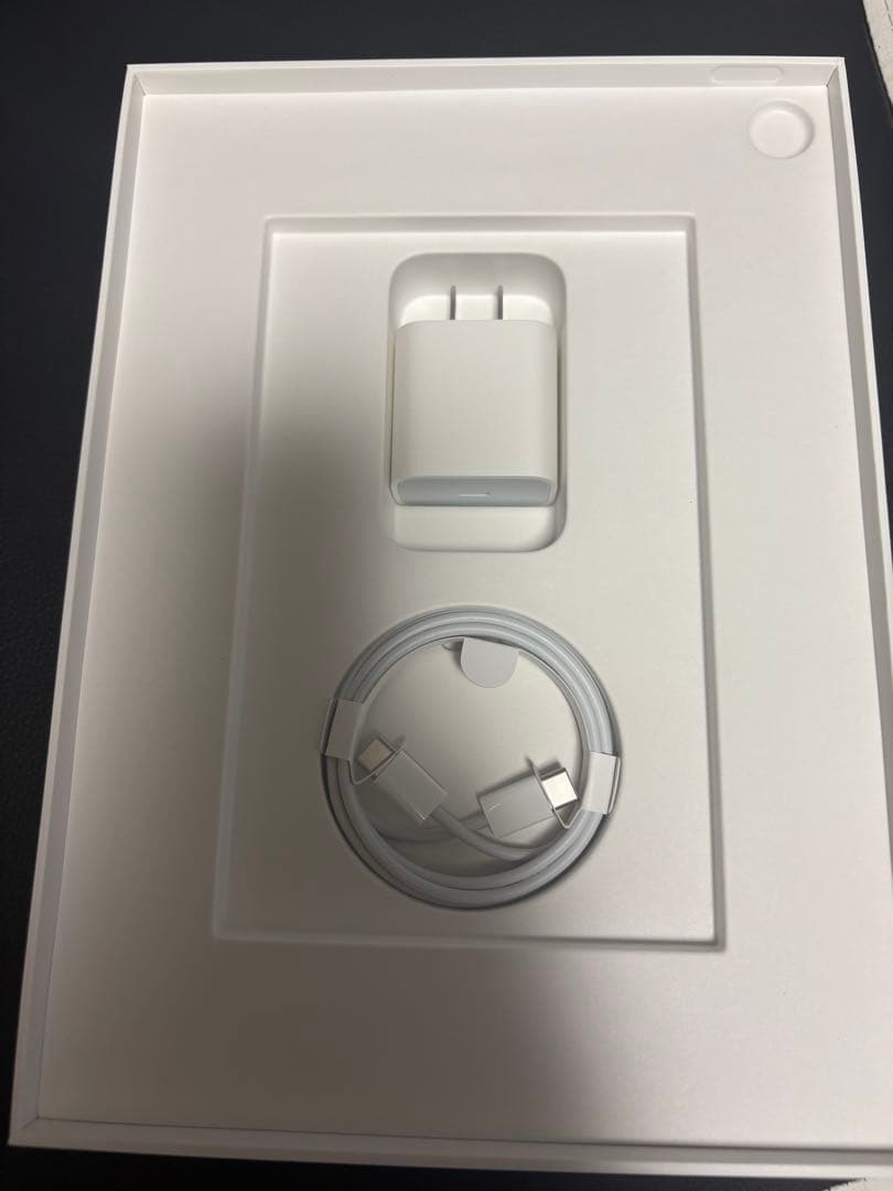 iPad本体 iPad Air4