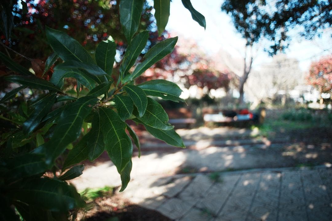 【整備＆テスト済】Nikon Ai Nikkor 20mm F3.5 414