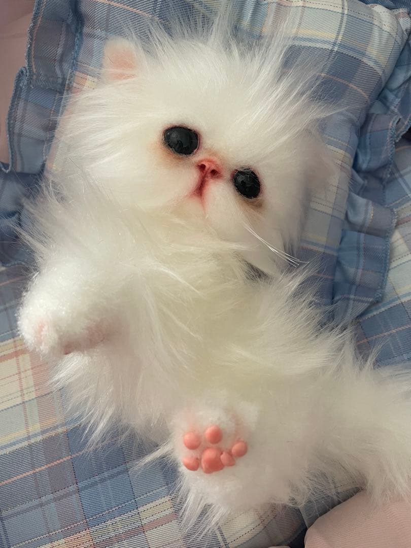 エキゾチックロングヘアの子猫アートドール