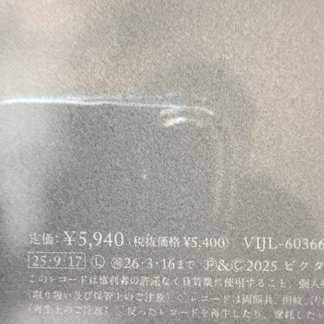 星野源　レコード