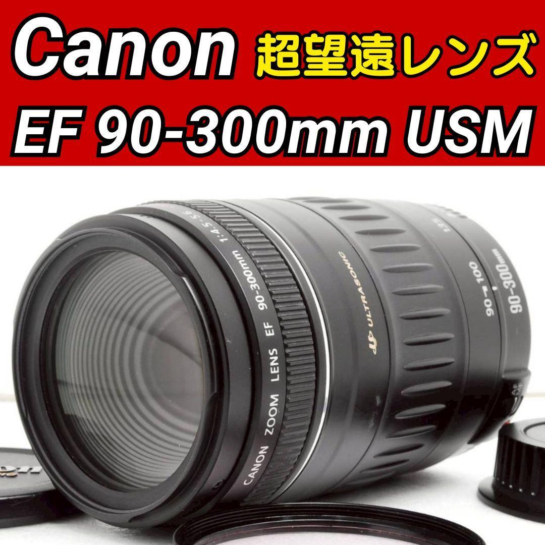 Canon EF 90-300mm USM ✨ 超望遠レンズ 大人気 キヤノン