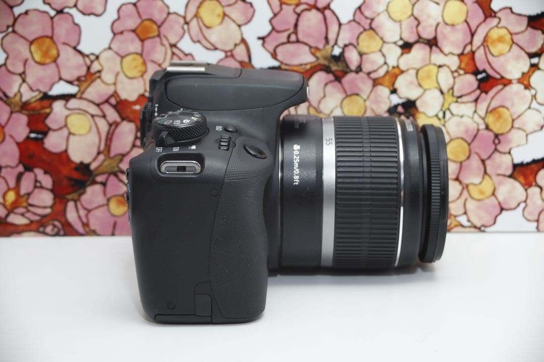 ❤️コスパ最強❤️Canon EOS Kiss X7❤️レンズセット❤️