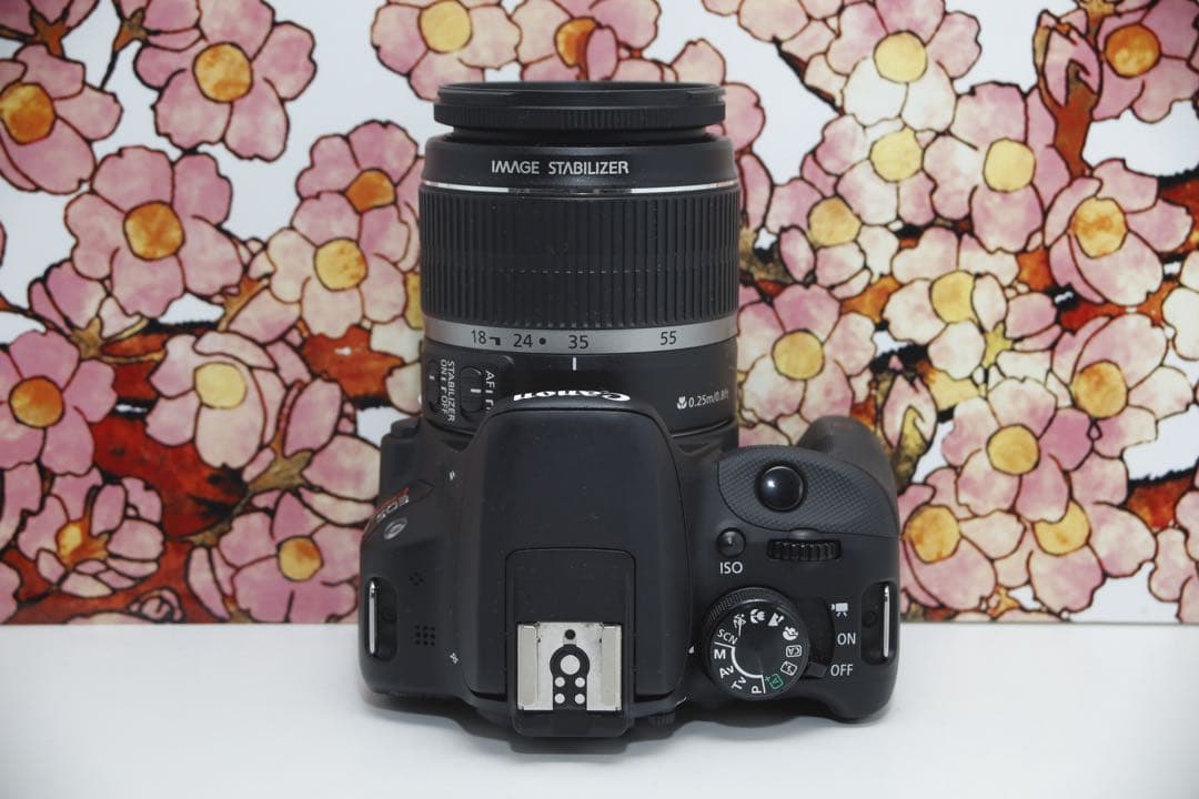 ❤️コスパ最強❤️Canon EOS Kiss X7❤️レンズセット❤️