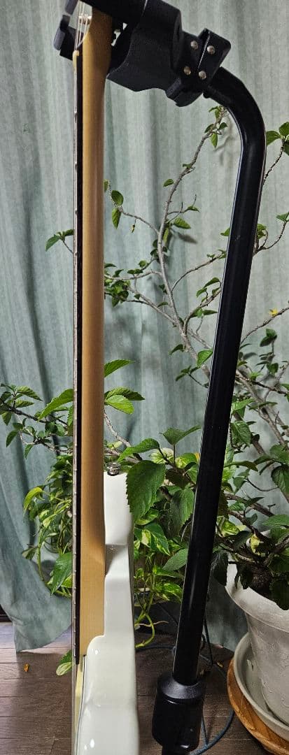 Momose MJS1-STD/R SWH 【春巻きチーズ】