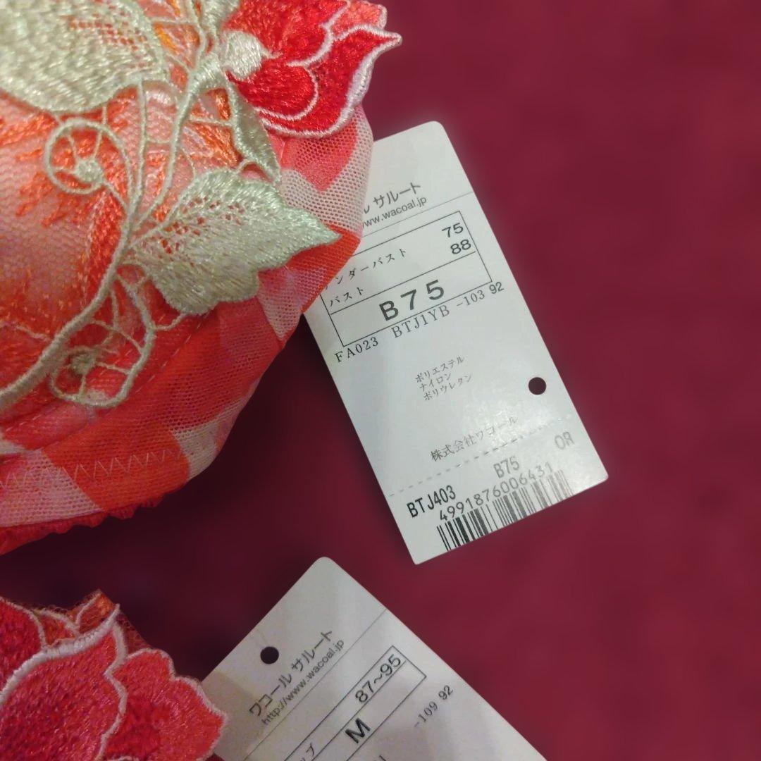 サルート　B75 Mです