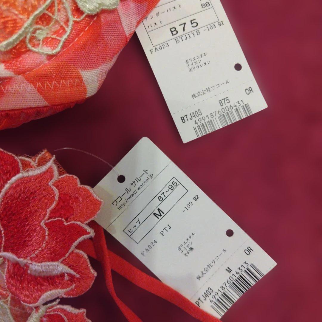 サルート　B75 Mです