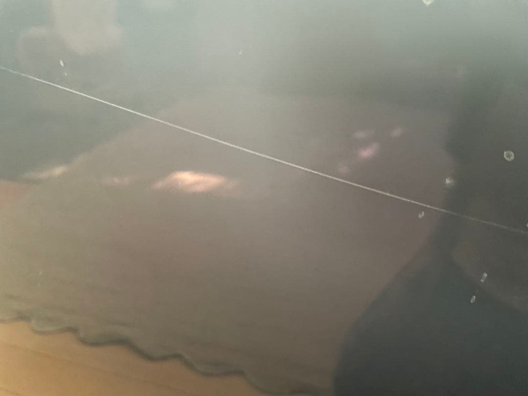 年末最終値下げ　Panasonic TH-P50G2 テレビ 本体