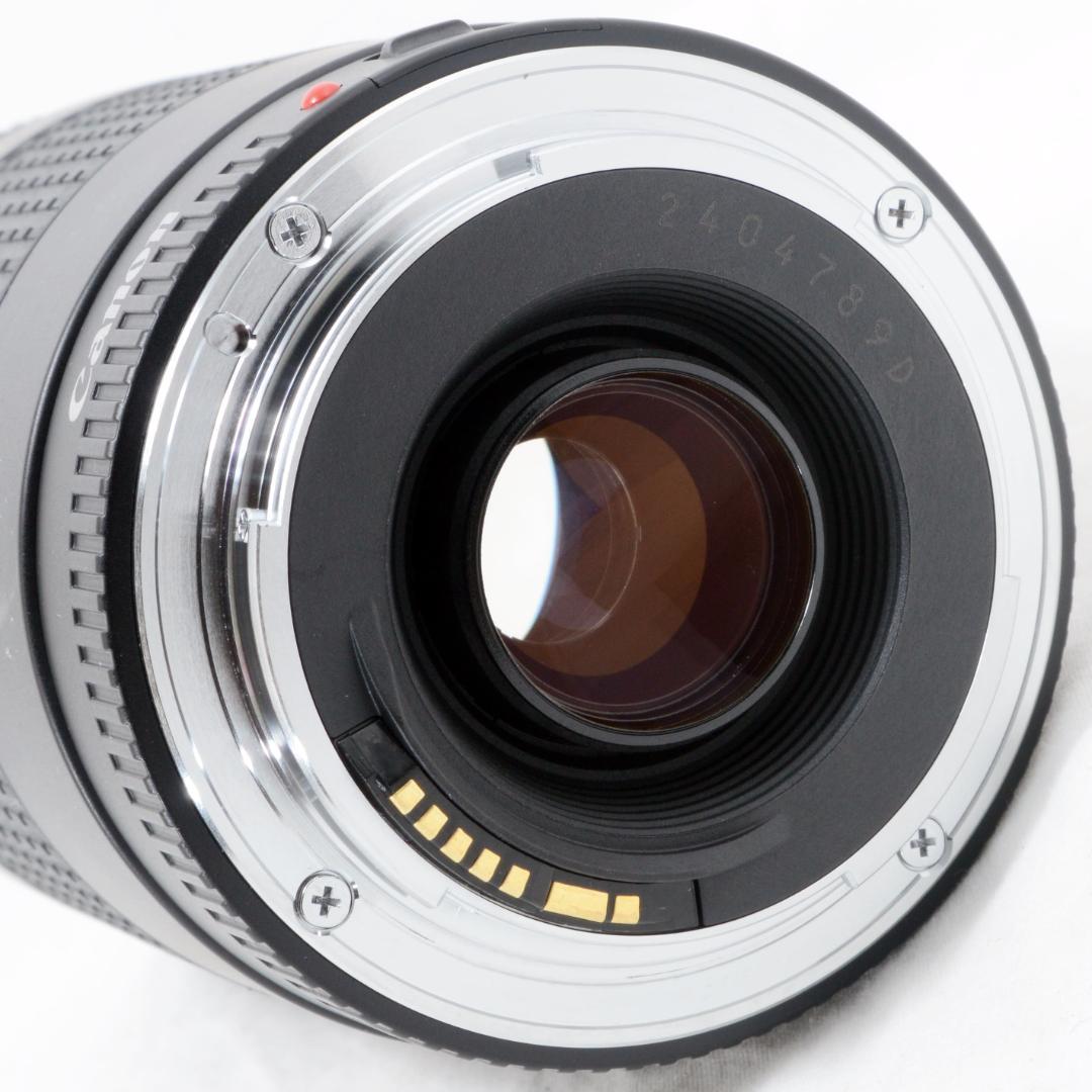 ★美品★Canon キャノン EF 75-300mm F4-5.6 Ⅱ USM
