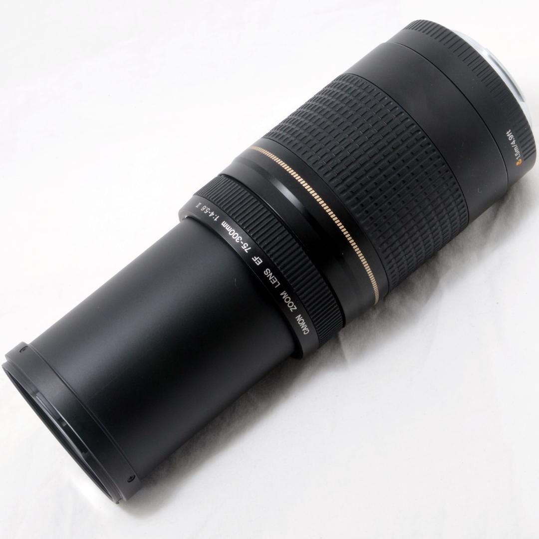 ★美品★Canon キャノン EF 75-300mm F4-5.6 Ⅱ USM