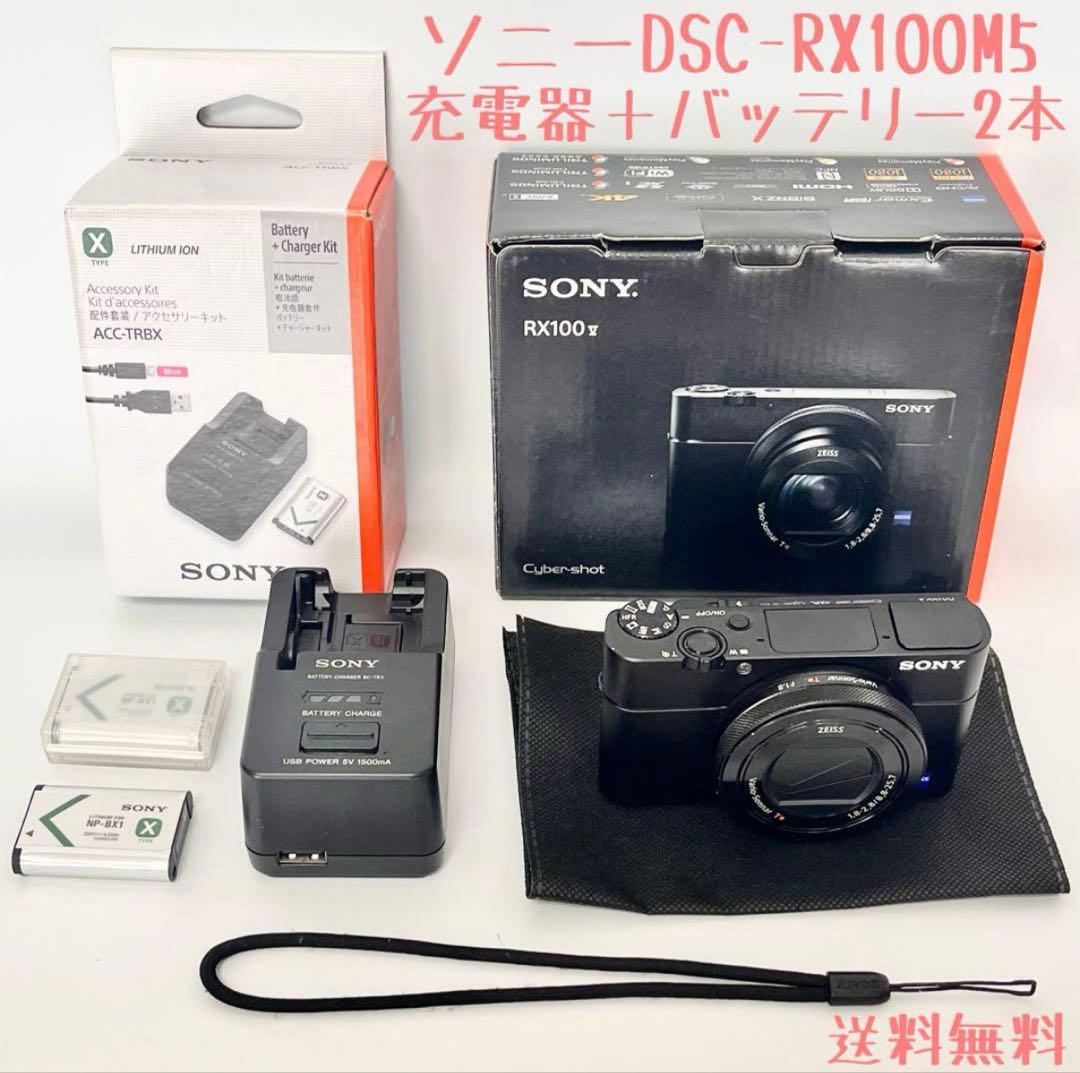 SONYサイバーショットDSC-RX100M5 純正充電器バッテリー