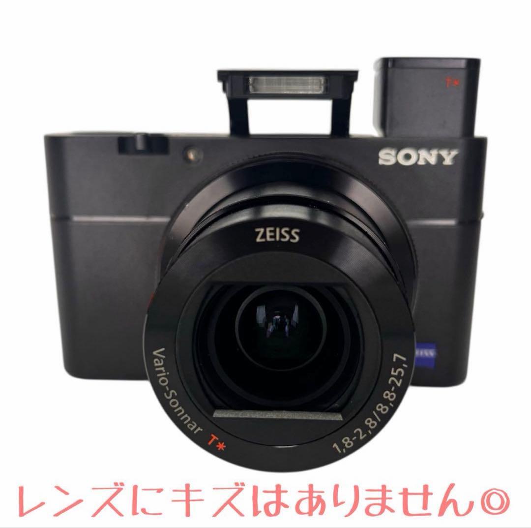 SONYサイバーショットDSC-RX100M5 純正充電器バッテリー