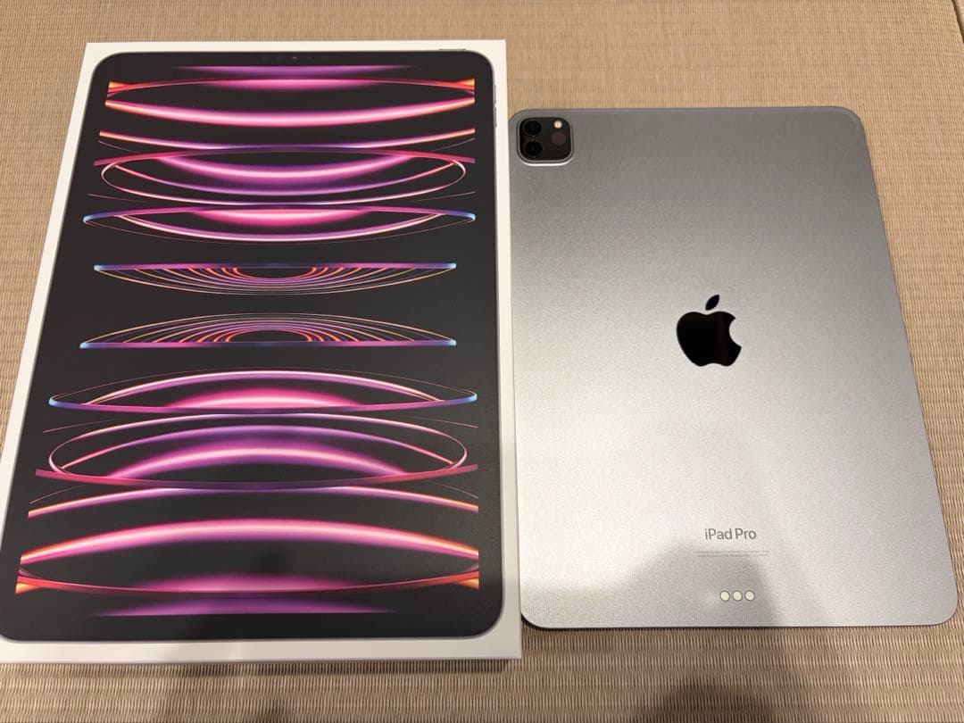 iPadPro11インチ第4世代256GB