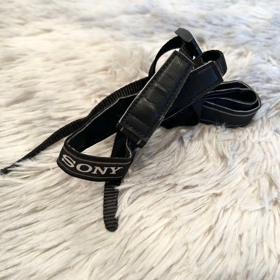 【完動品】 SONY NEX-5RY ダブルズームレンズキット