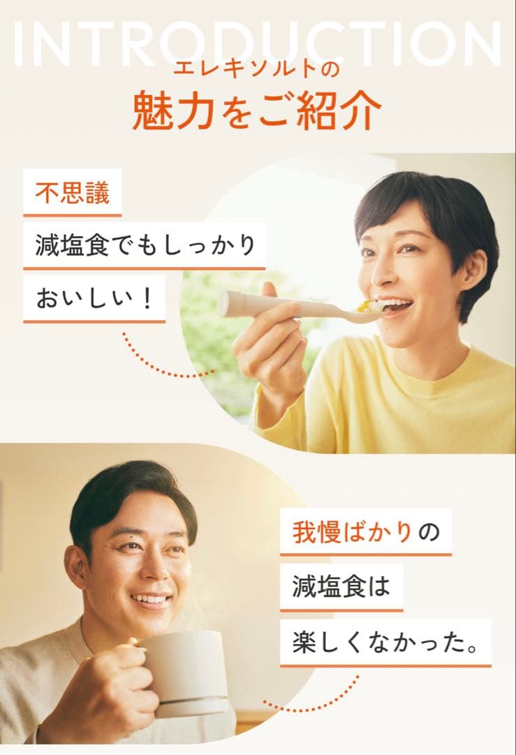 【新品未開封】エレキソルトスプーン 商品番号 : ES-S002