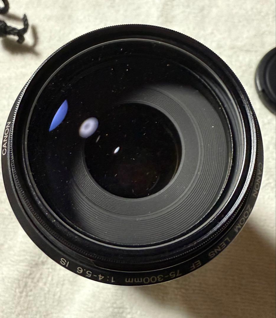 Canon 75-300mm レンズ 手ブレ補正付き
