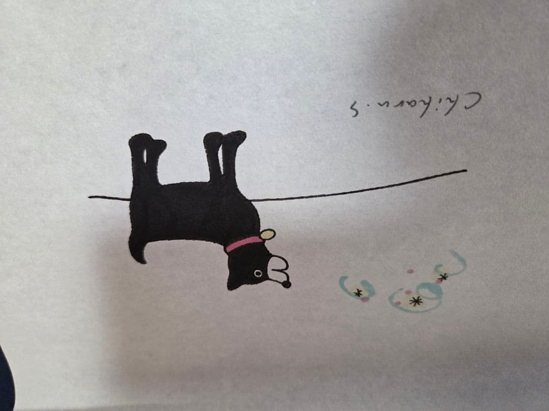 坂崎千春　直筆　イラスト