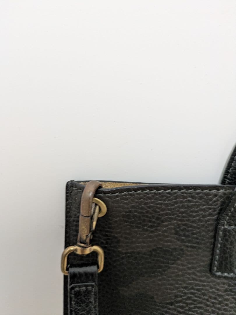 ピコ太郎 Daniel&Bob ショルダーバッグ トゥモローランド別注