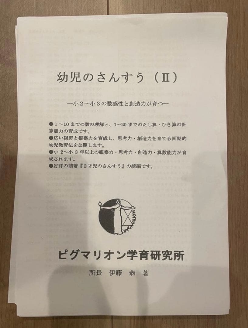 【ほぼ新品】ピグマリオン　幼児のさんすうⅡ ヌマーカステン ドット棒 など