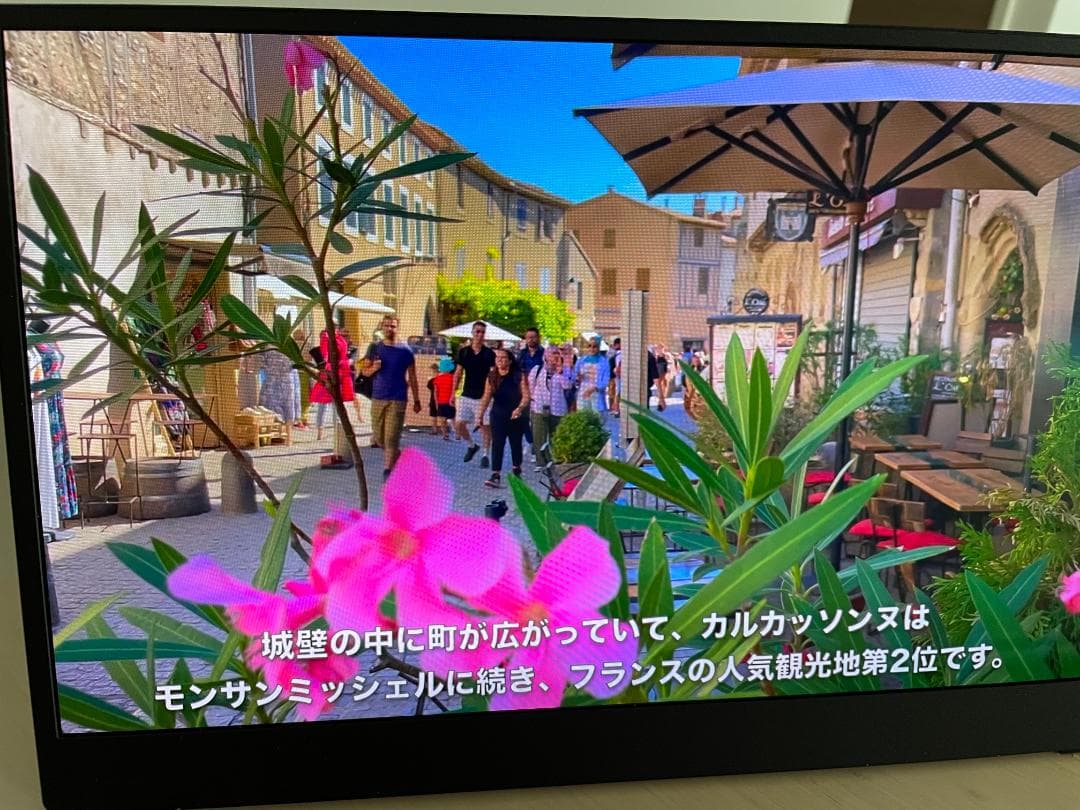 モバイルモニター モバイルディスプレイ 13.3インチ 有機EL