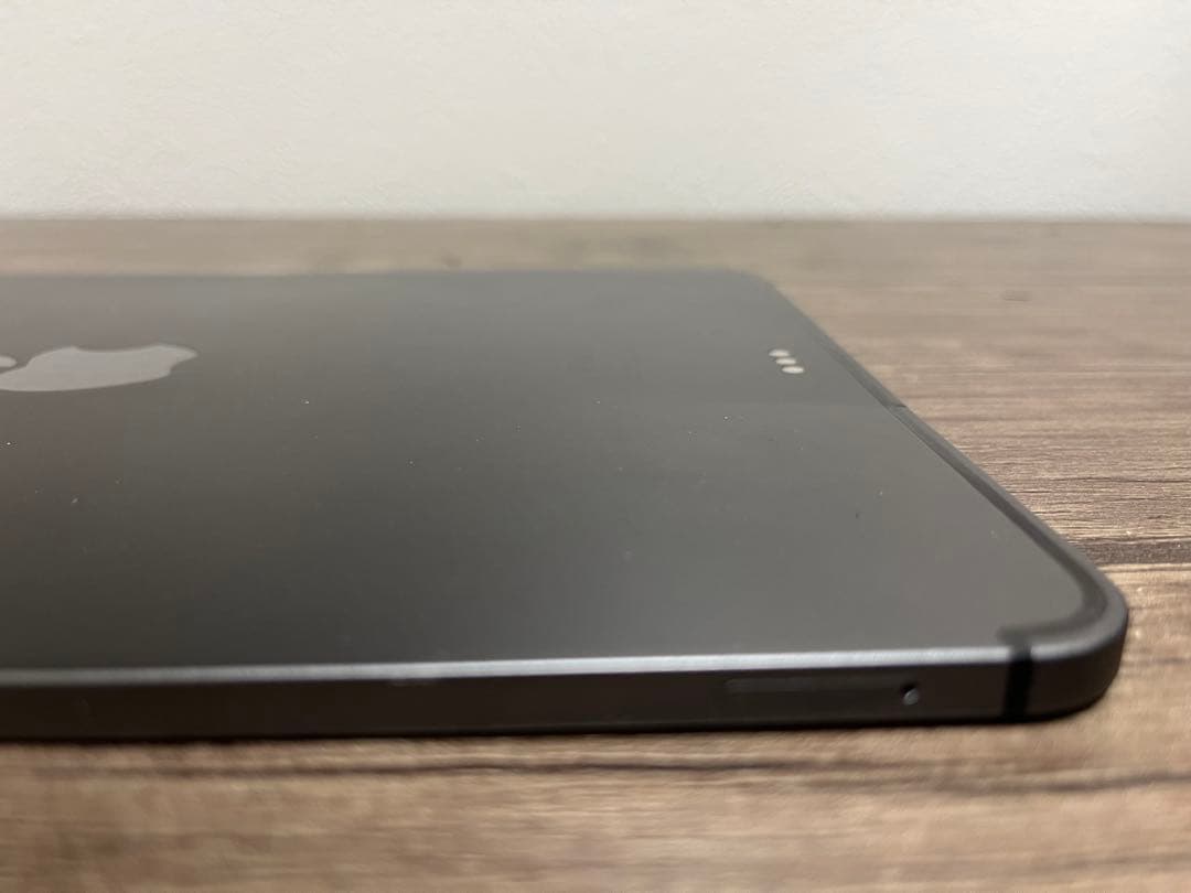 iPad Pro /11インチ/第1世代（2018）/1TB /セルラー/ペン付