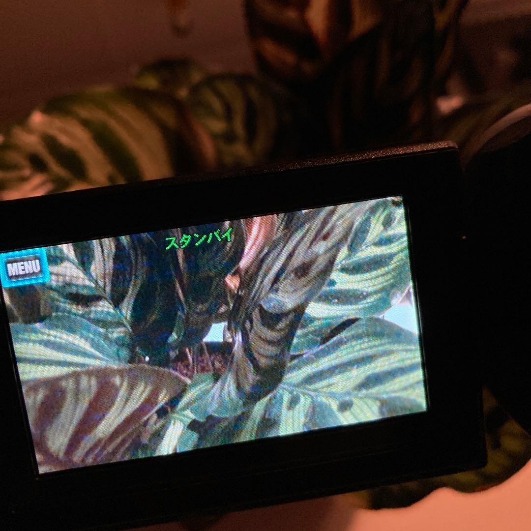 美品 SONY ハンディカム HDR-CX470