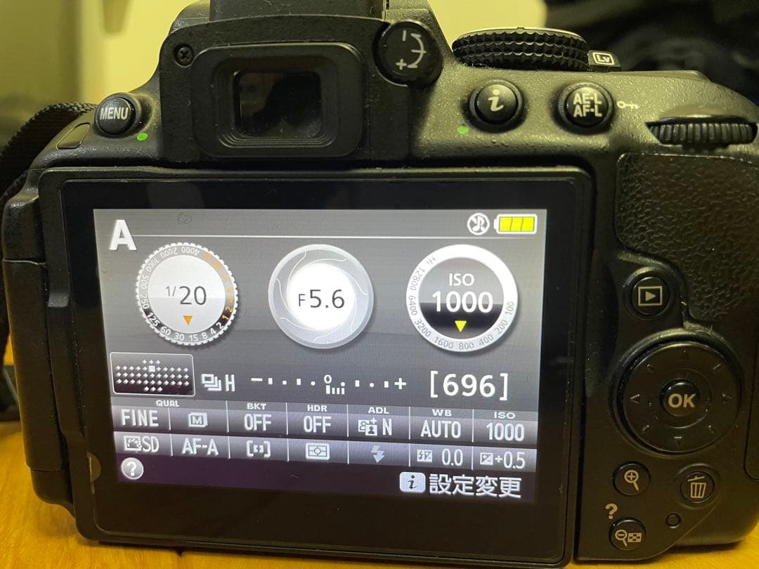 NikonD5300 レンズ付き