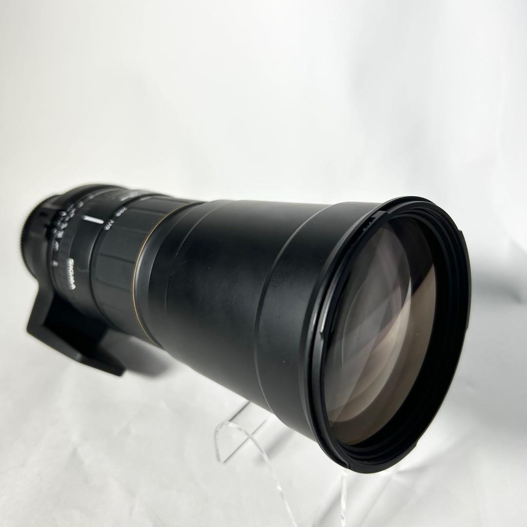 超望遠の世界へ！SIGMA APO 170-500mm F5-6.3 SONY用