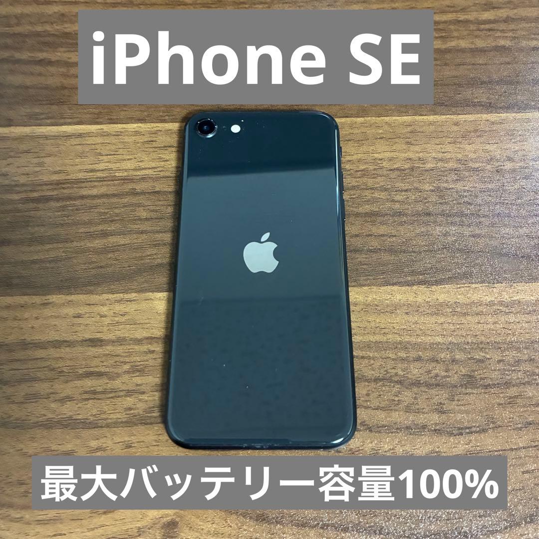 Apple iPhone SE 最大バッテリー容量100%