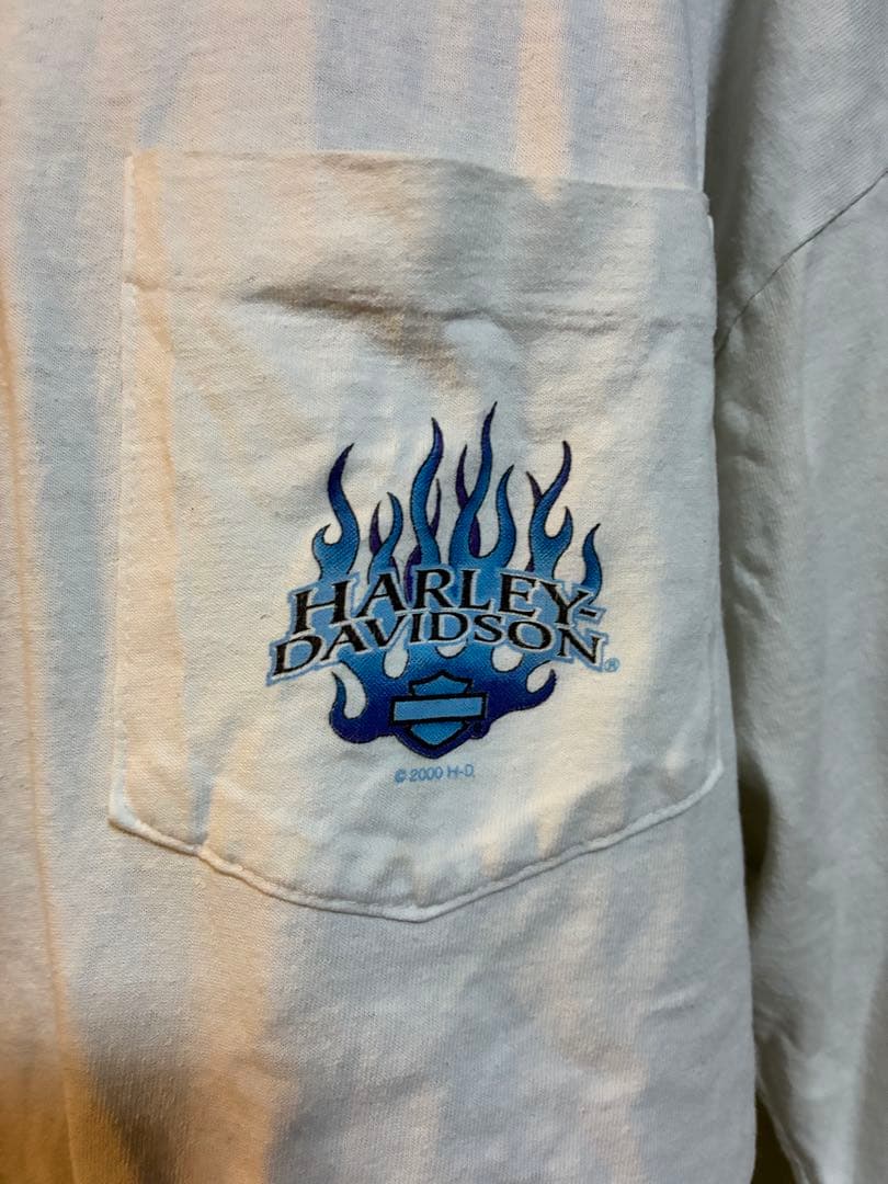 Harley Davidson 長袖Tシャツ フレイムデザイン 2000年モデル