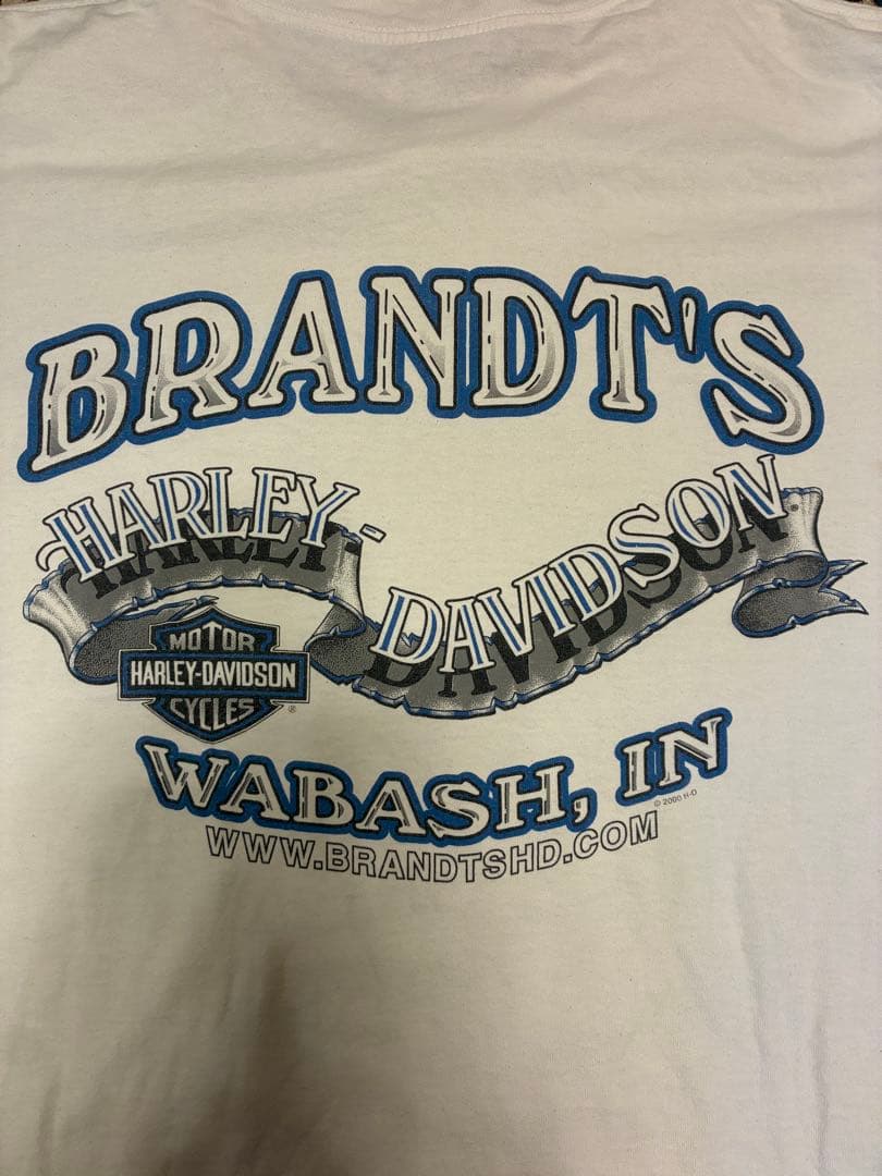 Harley Davidson 長袖Tシャツ フレイムデザイン 2000年モデル