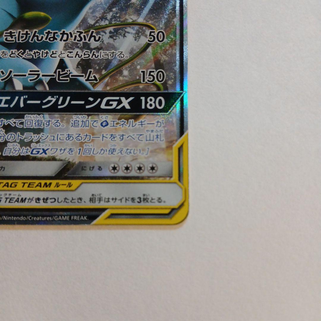 セレビィ&フシギバナGX SR