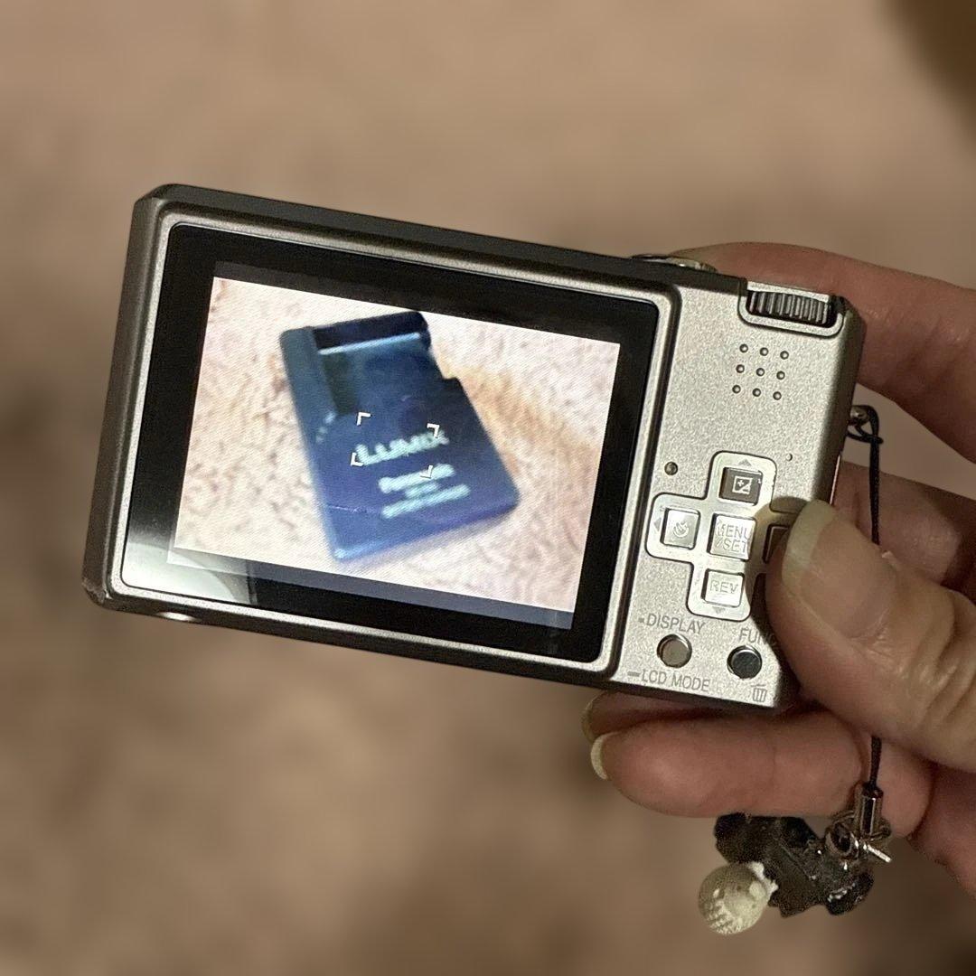美品　Panasonic LUMIX DMC-FX100 充電器付き