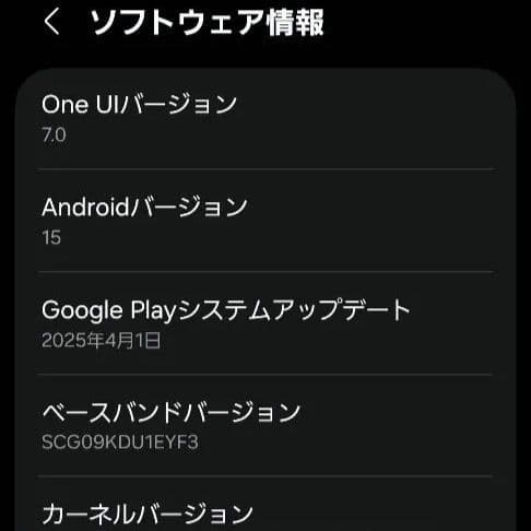 Samsung Galaxy S21 5G Scg09 ファントムグレー