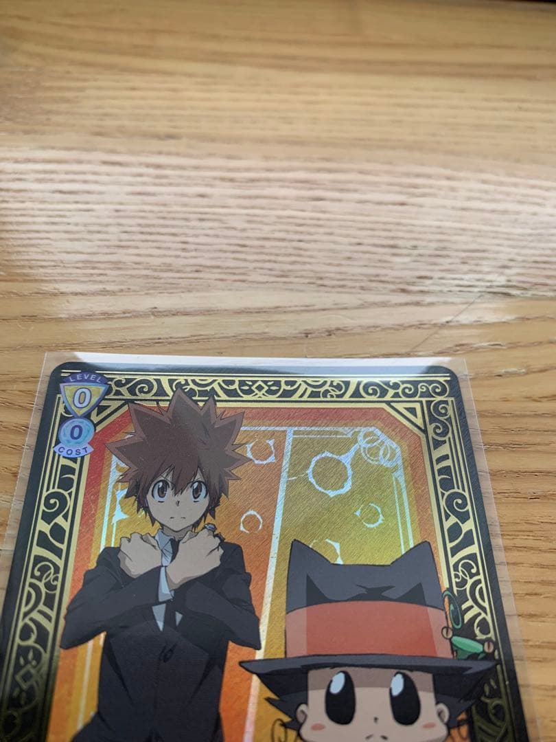 【即購入可！】ヴァイスシュヴァルツブラウ 家庭教師ヒットマンREBORN! SP