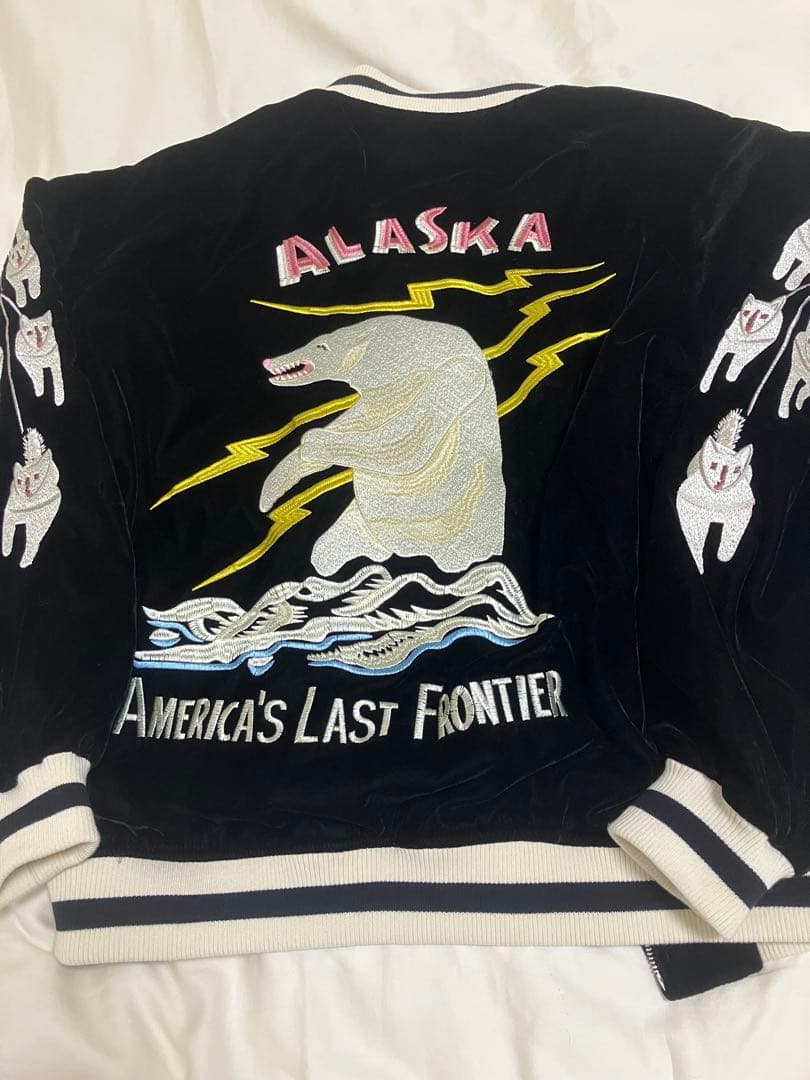 犬そり　アラスカ　スカジャン