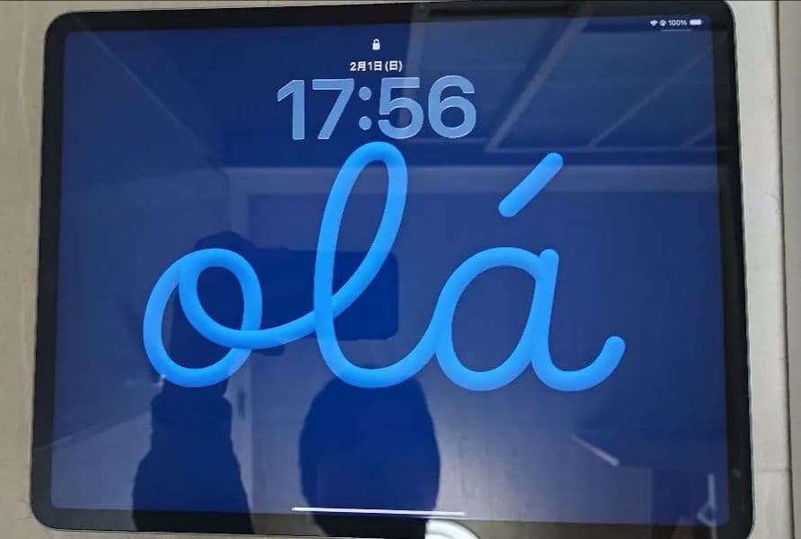 【極美品】iPad Pro 12.9インチ 第6世代ApplePencil付き